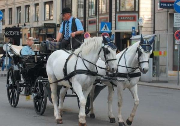 BUDAPEST e VIENNA da CAGLIARI