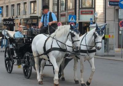 BUDAPEST e VIENNA da CAGLIARI