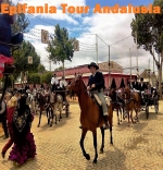 Epifania 2024 Tour Andalusia da Cagliari viaggio di 8 Giorni dal 5 al 12 Gennaio 2024 da 1190 €
