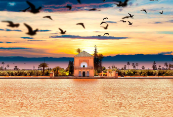 Offerta Epifania Soggiorni Liberi a Marrakech 2024-2025 | Viaggio di 6 Giorni con Partenza da Cagliari