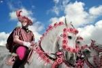 carnevale sardegna con aiosardegna