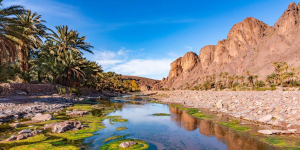 Epifania in Marocco - Tour del Sud Deserto e Kasbah con Partenza da Cagliari