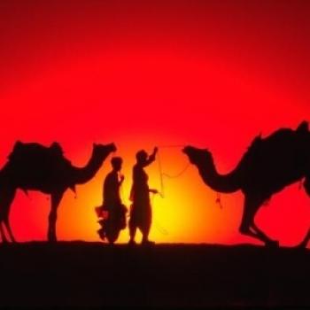 tour tunisia da cagliari aiosardegna