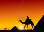 Epifania 2016 in Marocco partenza con volo da Cagliari Tour delle Città Imperiali dal 2 al 9 Gennaio 2016 da 790 €